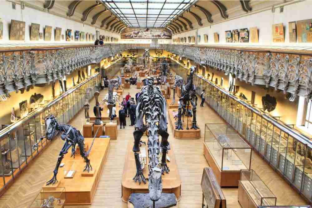 Das Museum des Menschen in Paris in France