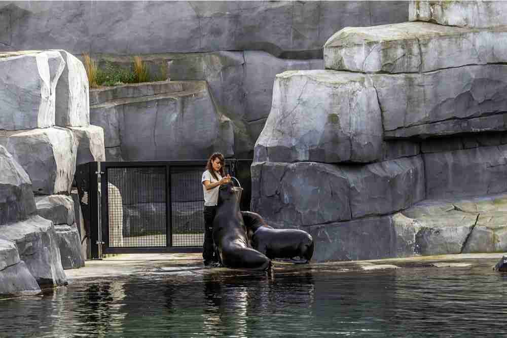 Zoological Park of Paris in France