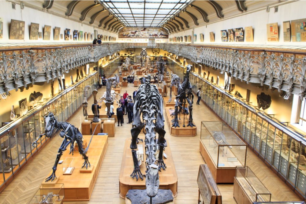 Das Museum des Menschen in Paris in France