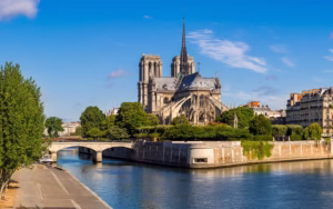 Notre-Dame Cathedral Access & Optional Île de la Cité Guided Tour OTA6